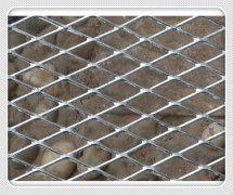 Customized Expanded Mesh