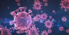 Coronavirus Issues and Protections from it